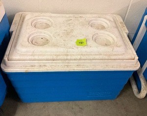lot 185 image: Igloo Cooler