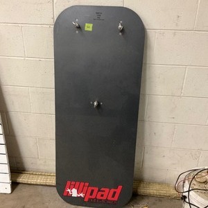 lot 347 image: Lillipad display