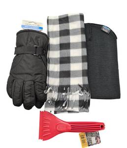 lot 39 image: Essential Winter Survival Kit for Your Car