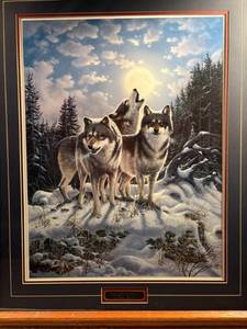 Derk Hansen Framed Print "Midnight Watcher"