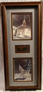 lot 12 image: Cyndi Nelson Framed Prints of Wolves