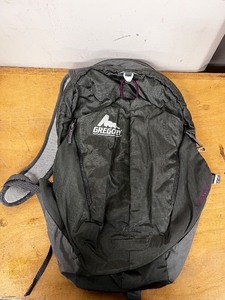 lot 64LN image: Gregory Maya 16 Hiking Backpack with BioSync Suspension