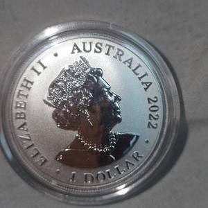 lot 79 image: 2022 1 oz Silver Desert Scorpian