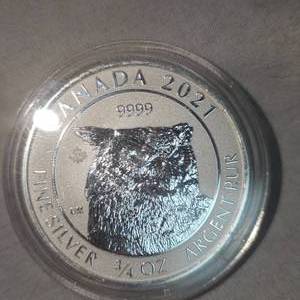 lot 90 image: 2021 34oz Canadian Owl Silver Rounds