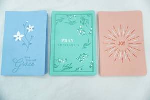 lot 207 image: Zondervan NIV 3 book Journals , Joy, Grace , Pray. New