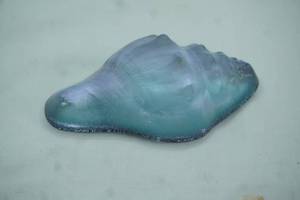 lot 452 image: Vintage Art Glass Conch Shell. Iridescent. Signed on the Bottom