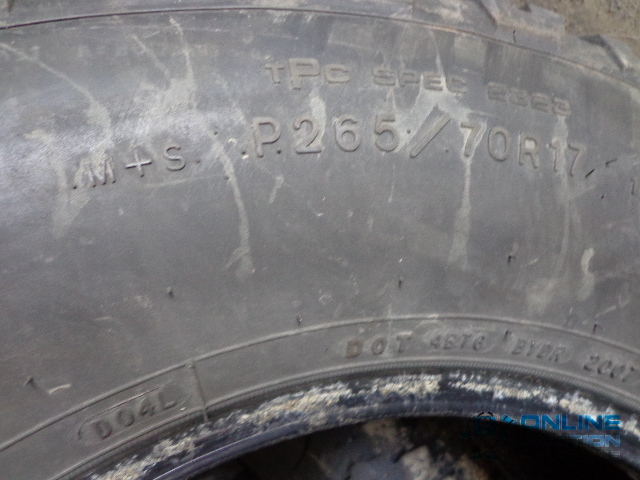 lot 113 image: (3) Goodyear Wrangler