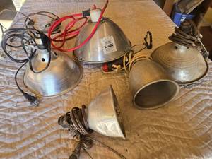 lot 24 image: Assorted Light Bulbs and Reflector Lamps with Accessories