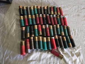 lot 195 image: Federal and Winchester 12 Ga Shotgun Shells and Casings