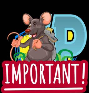 lot 1 image: Important Removal  Load Out and Shipping Information - Removal Address 22881 105th St SW, Renville, MN 56253