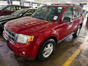 lot 24 image: 2011 Ford Escape XLT
