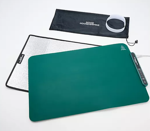 lot 246 image: Good Housekeeping Portable Food Warming Tray & Storage Bag, Colors may vary