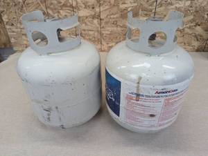 lot 30 image: Pair of 20 lb Propane Tanks