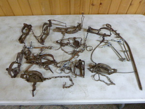 lot 36 image: 10 Victor Small Animal Food Traps