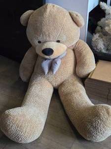 lot 599 image: 70 Stuffed Bear