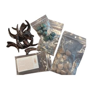 lot 10 image: Lot of Real Fossils, Replica Claws, and More