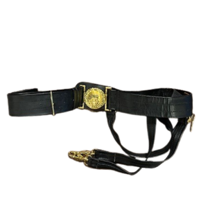 lot 23 image: US Navy Officer Sword Belt