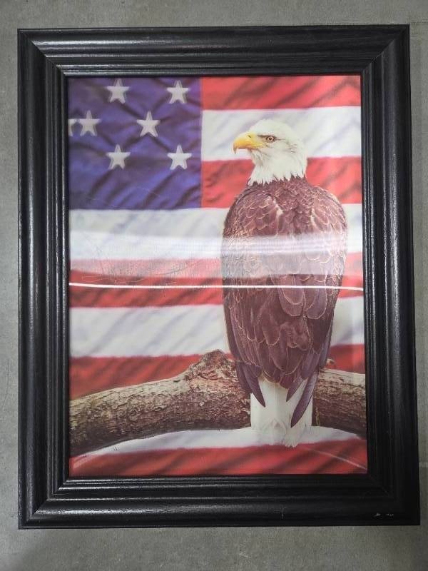 lot 207 image: 3D American Eagle Picture