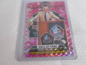 lot 276 image: 2024 Mosaic Terry Bradshaw Pink Pri...