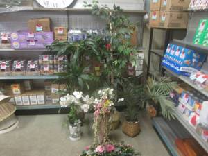 lot 60 image: (RM4) Faux Trees and Plants...