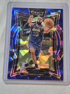 lot 216 image: LeBron James 2024-25 Panini Select Prizm Blue Cracked Ice #54 - Los Angeles Lakers Basketball Card