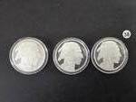 3 - 1 oz. Buffalo .999 Fine Silver Rounds