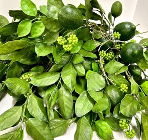 lot 445 image: Artificial Lime Branches with Limes & Bud Clusters - Decorative Citrus Foliage