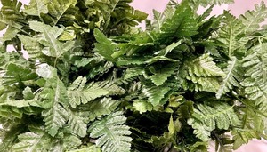 lot 452 image: 9 Fern Fronds & Decorative Indoor Houseplant Foliage - Green Cluster