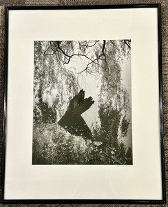 lot 212 image: Framed Black &amp White Nature Photograph&nbsp