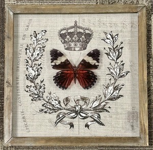 lot 222 image: Framed Heraldic Butterfly Print & Crown Laurel Wall Art