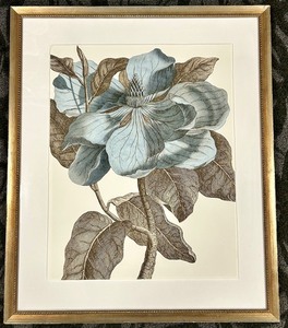 lot 230 image: Blue Magnolia Framed Print - Botanical Wall Art in Gold Beaded Frame