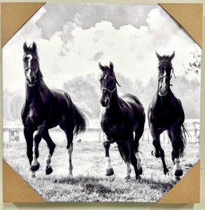 lot 246 image: Canvas - Black & White Horse Run Artwork