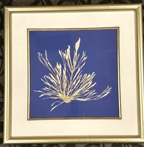 lot 257 image: Sea Fan Coral Framed Wall Art on Royal Blue Background &amp Coastal Decor
