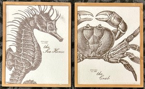 lot 291 image: Sea Horse Specimen No. 1749 & Crab Specimen No. 1005 - Framed Prints