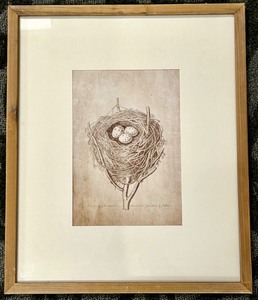 lot 293 image: Antique Bird Nest Illustration Print in Wood Frame & Three Eggs
