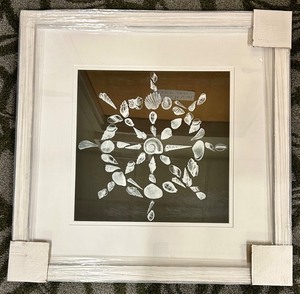 lot 298 image: Seashell Radial Collage Framed Wall Art