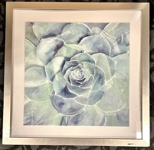 lot 354 image: Succulent Art Print & Silver Frame
