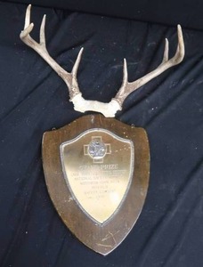 lot 99 image: ANTLERS  WOODEN TROPHY