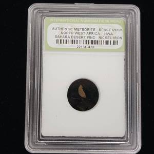 lot 314 image: International Numismatic Bureau � Authentic Meteorite Space Rock � North West Africa � Sahara � Nickel and Iron
