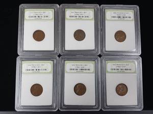 lot 329 image: International Numismatic Bureau � 6 total Wheat Pennies in cases- mixed years � Tax Exempt Constitutional Currency