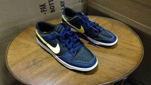 lot 19 image: Nike Dunk low vintage Michigan color scheme size 13