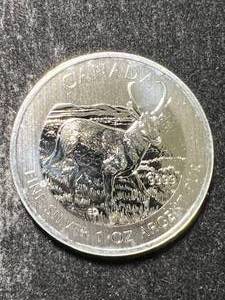 lot 51 image: 2013 CANADIAN PRONGHORN 1 TROY OZ .9999 FINE SILVER
