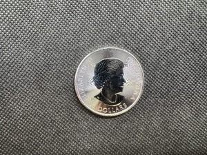 lot 70 image: BU 2018 1.25 Oz. .9999 Silver Canadian Buffalo Coin