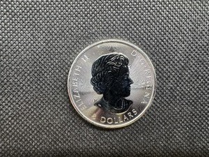 lot 71 image: BU 2018 1.25 Oz. .9999 Silver Canadian Buffalo Coin