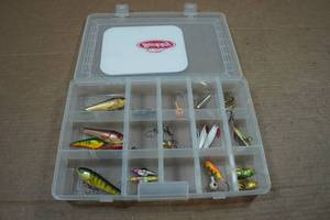lot 135 image: Tackle Box Insert with Assorted Lures