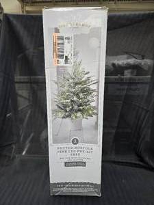 lot 131 image: Wondershop  3 Potted Balsam Fir LED Pre-lit Tree