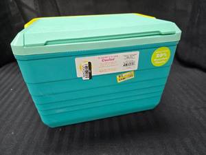 lot 181 image: NEW Cooler