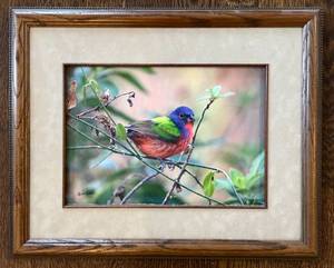 lot 159H image: LR - Pat Gerlach Bird Print - Colorful Rainbow Bird on Branch