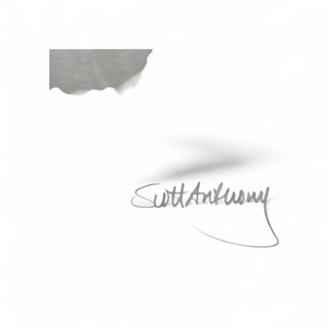 lot 134 image: Scott Anthony Signed & Framed Artwork