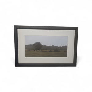 lot 145 image: Framed Artwork